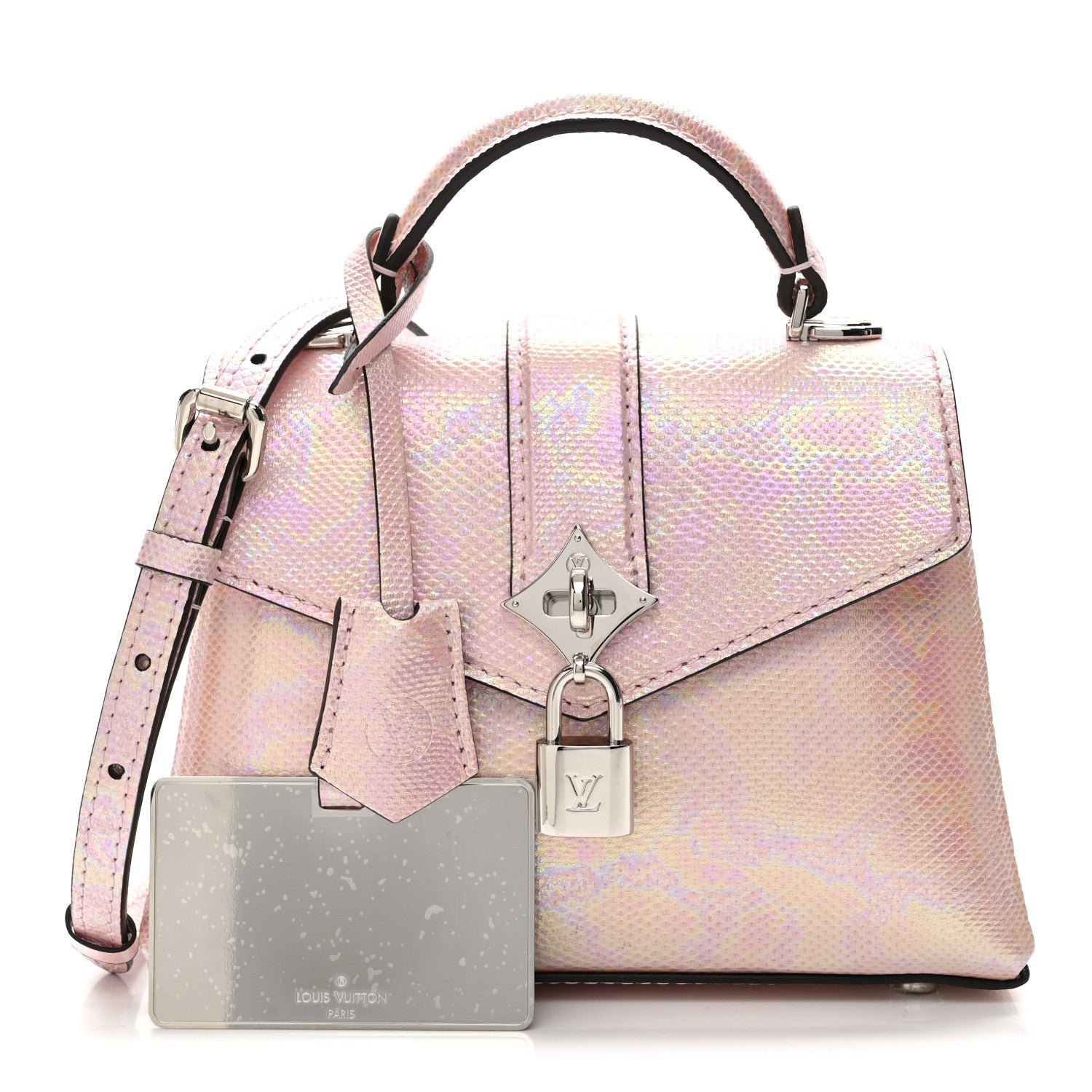 Rose Des Vents mini
